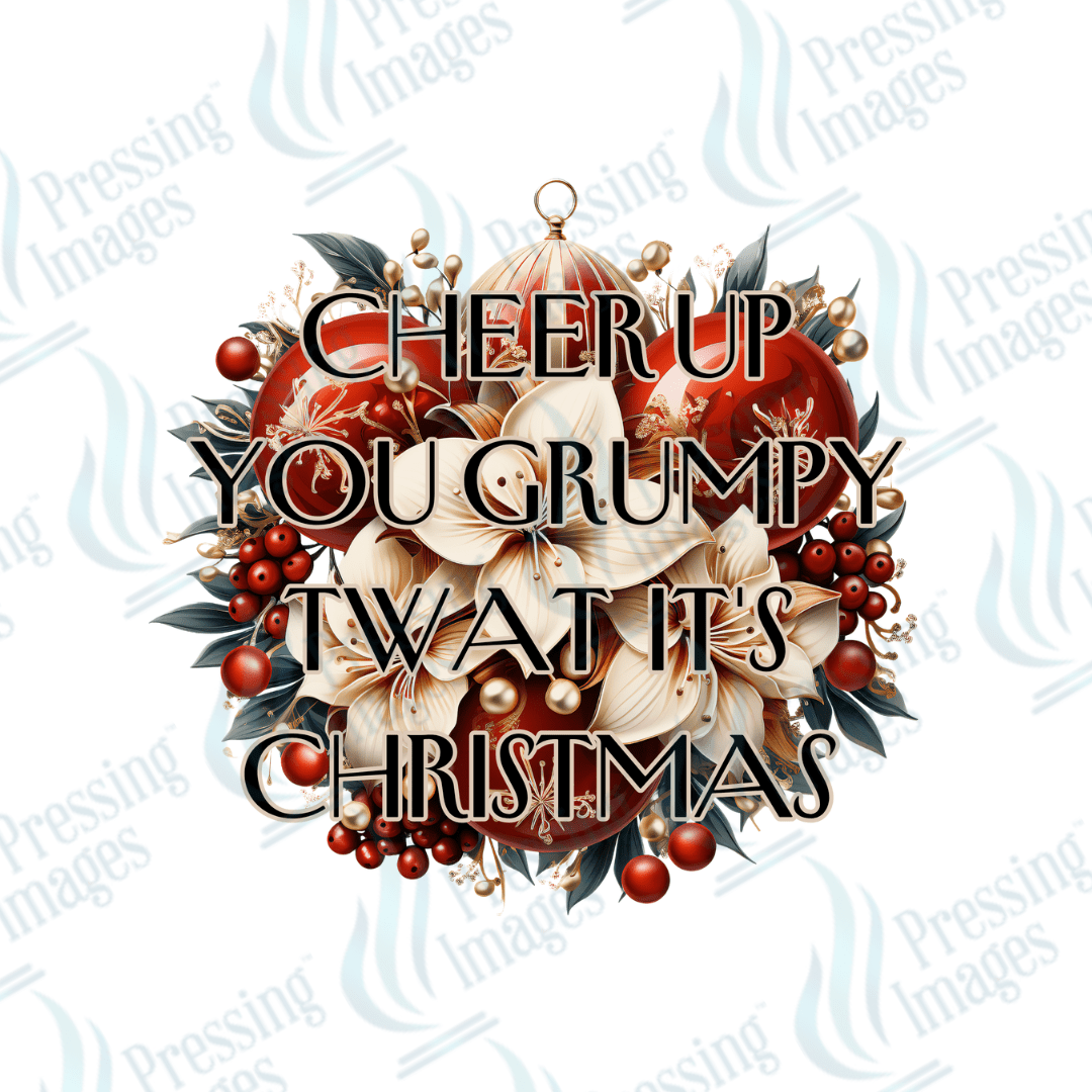 DTF 3443 Cheer up you grumpy twat - Pressing Images