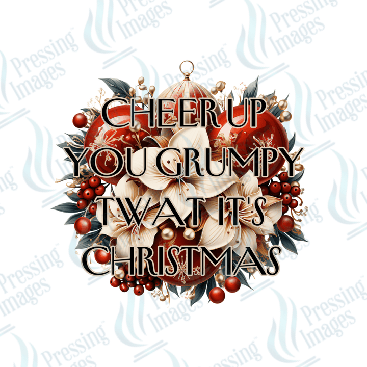 DTF 3443 Cheer up you grumpy twat - Pressing Images