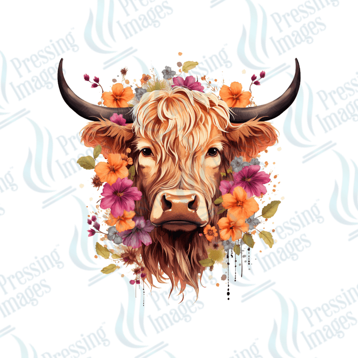 DTF 3490 Highland cow - Pressing Images