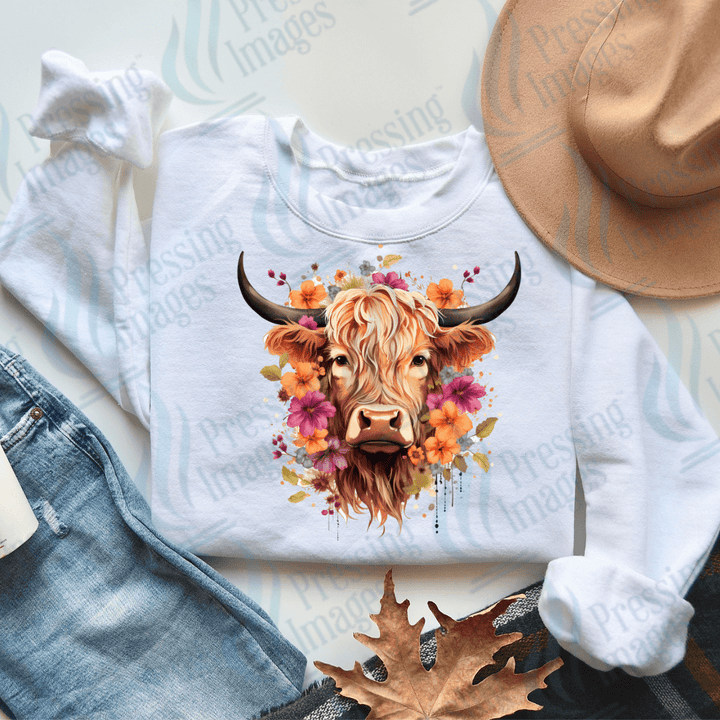 DTF 3490 Highland cow - Pressing Images