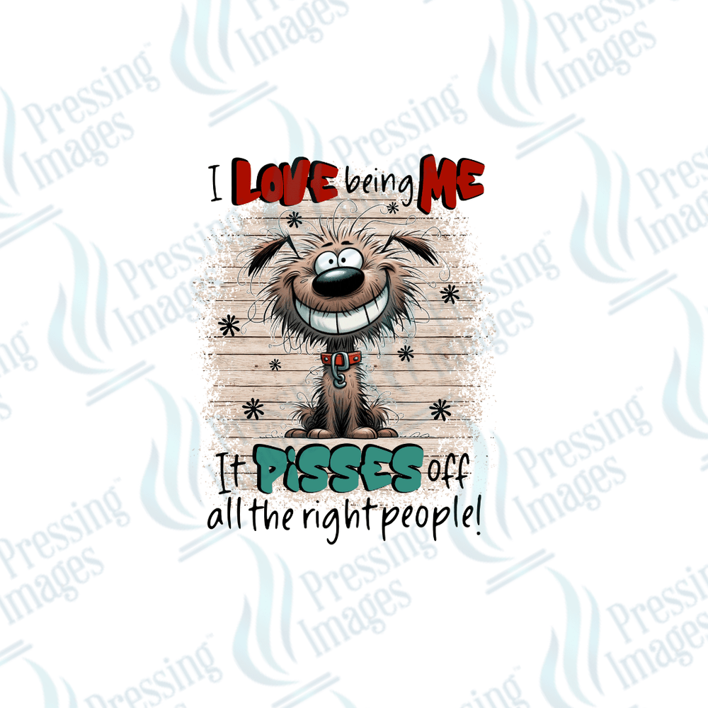 DTF 3491 I love being me - Pressing Images