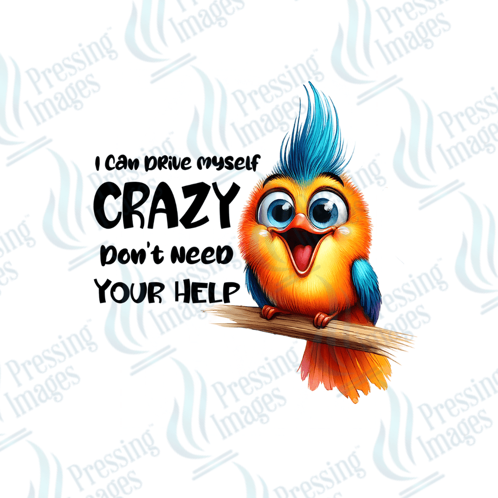 DTF 3508 I can drive myself crazy - Pressing Images