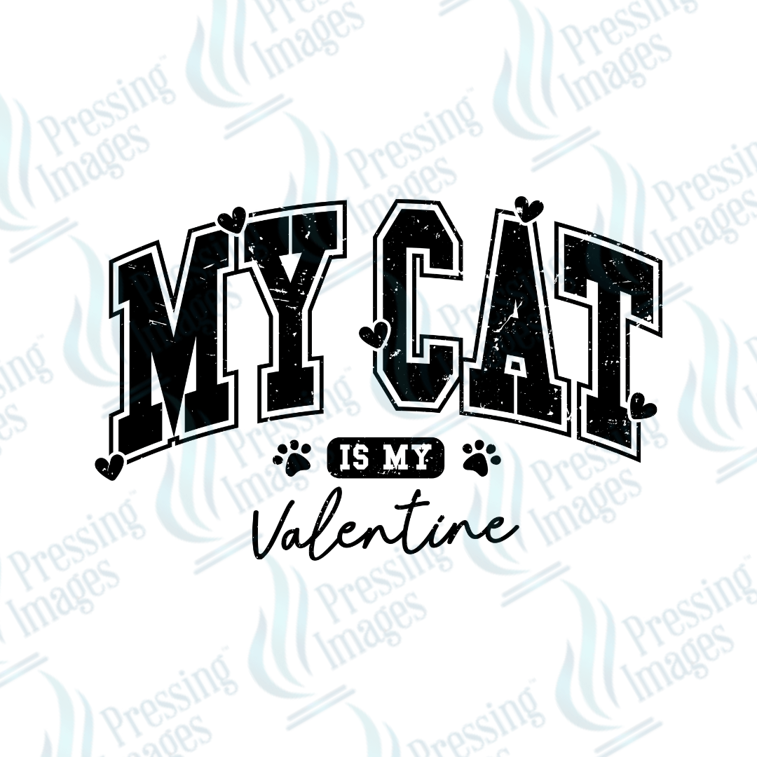 DTF 3521 My cat is my Valentine - Pressing Images