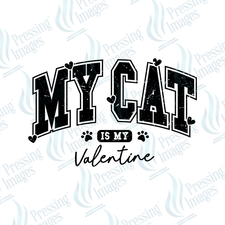 DTF 3521 My cat is my Valentine - Pressing Images
