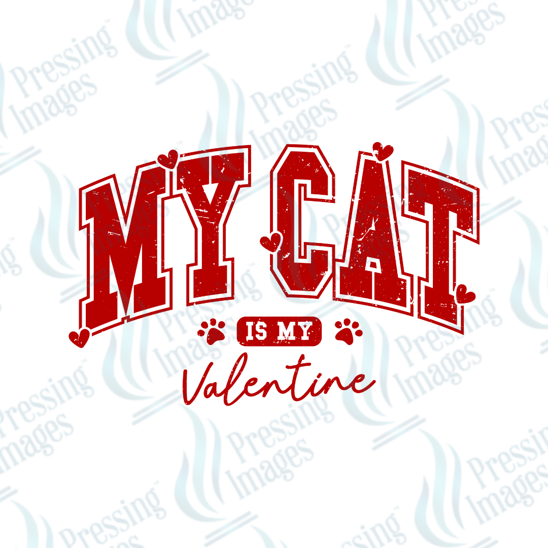 DTF 3521 My cat is my Valentine - Pressing Images