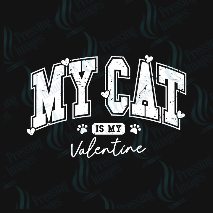 DTF 3521 My cat is my Valentine - Pressing Images