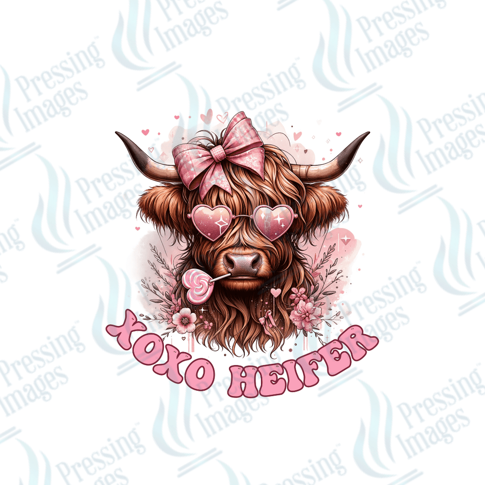 DTF 3574 XOXO Heifer - Pressing Images