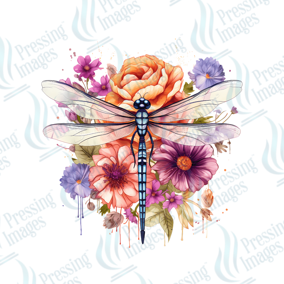 DTF 3577 Dragonfly - Pressing Images