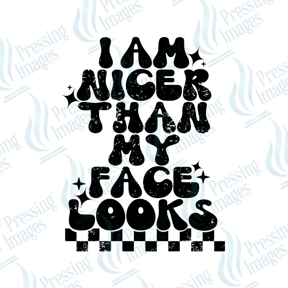 DTF 3606 I am nicer than my face looks - Pressing Images