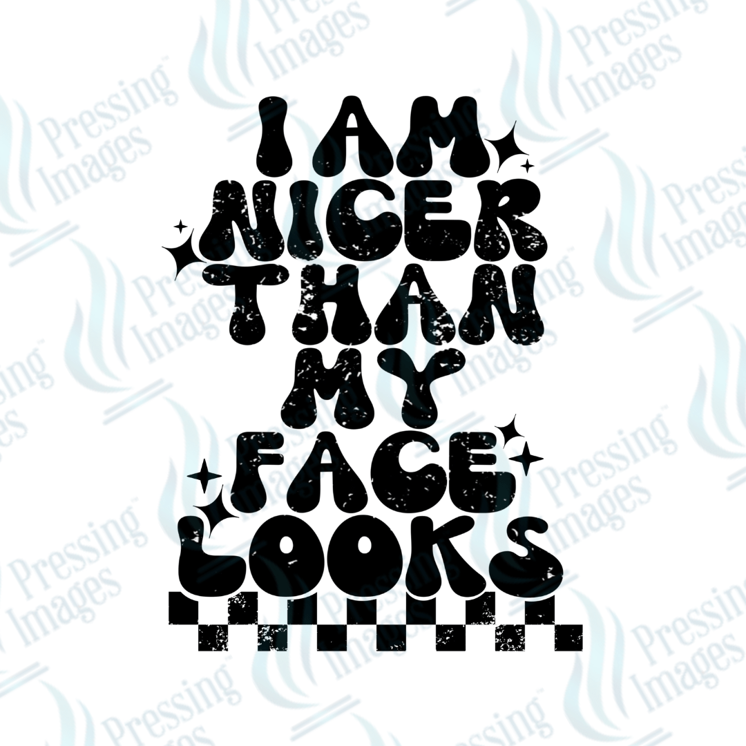 DTF 3606 I am nicer than my face looks - Pressing Images