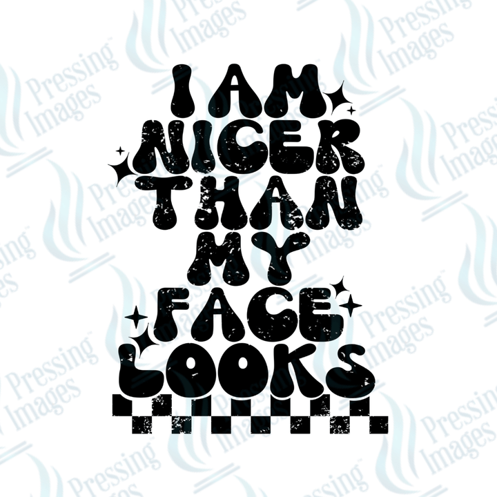 DTF 3606 I am nicer than my face looks - Pressing Images