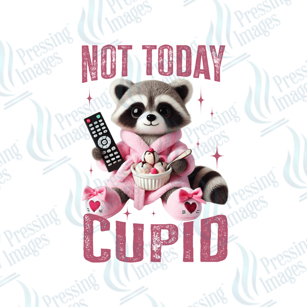 DTF 3612 Not today Cupid - Pressing Images