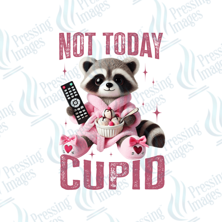 DTF 3612 Not today Cupid - Pressing Images