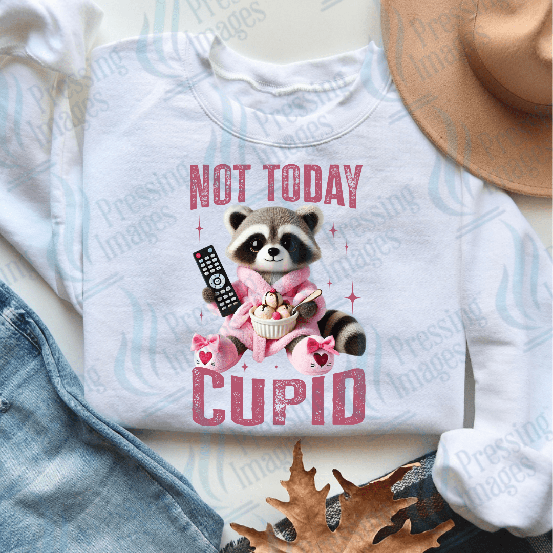 DTF 3612 Not today Cupid - Pressing Images