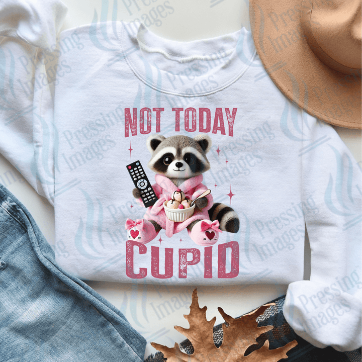 DTF 3612 Not today Cupid - Pressing Images