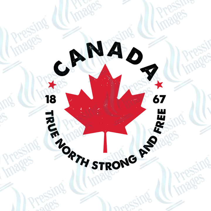 DTF 3622 True North Canada - Pressing Images