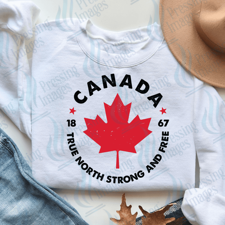 DTF 3622 True North Canada - Pressing Images