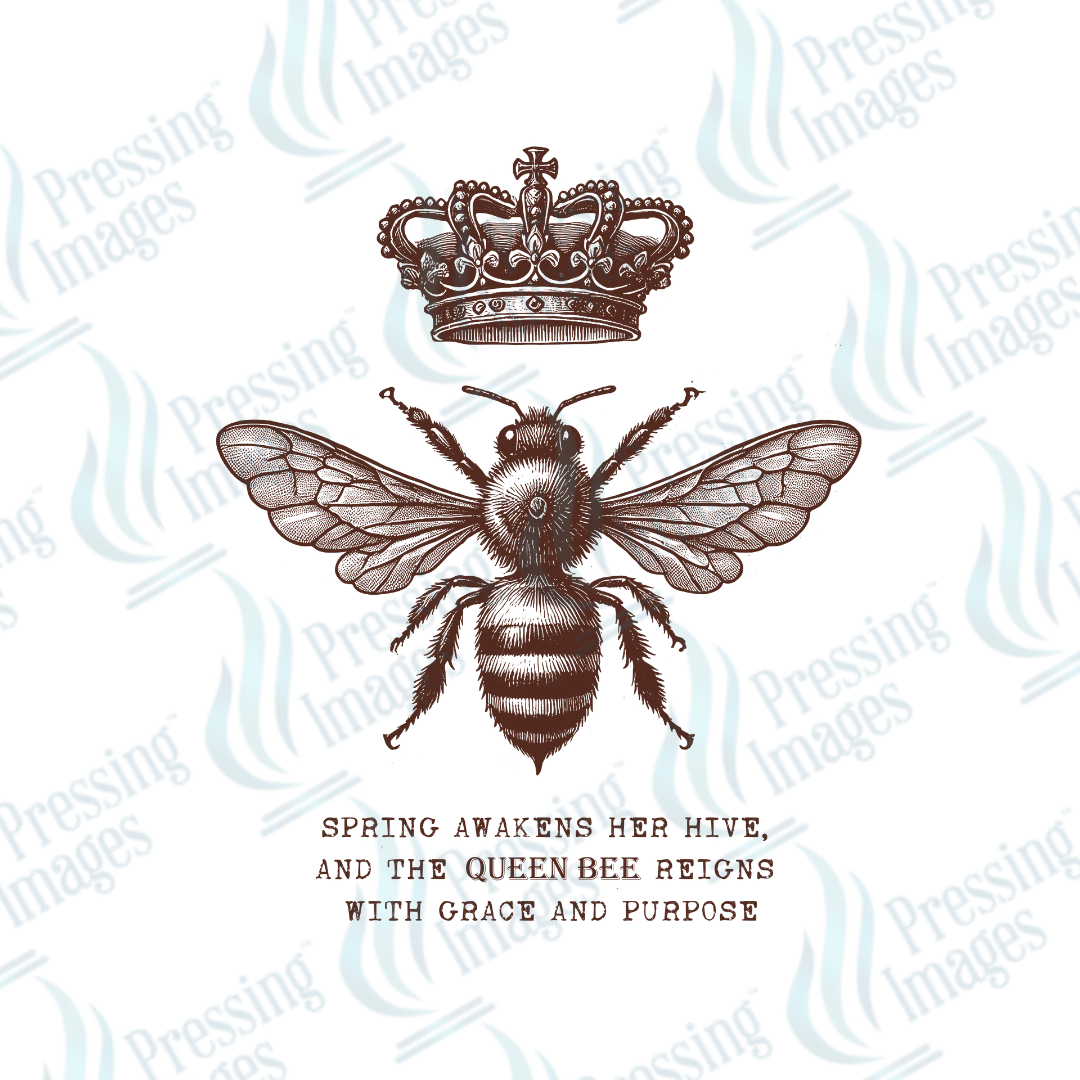 DTF 3659 Bee - Pressing Images