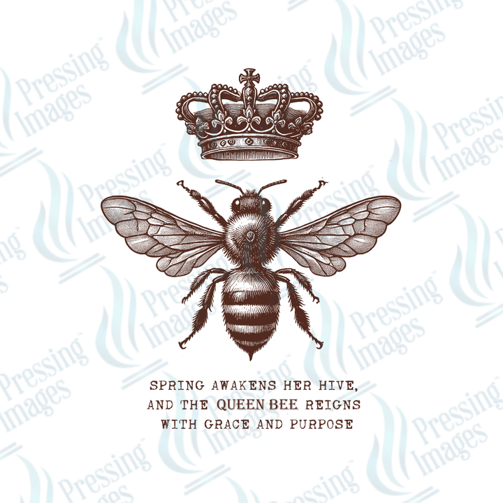 DTF 3659 Bee - Pressing Images
