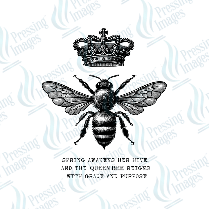 DTF 3659 Bee - Pressing Images