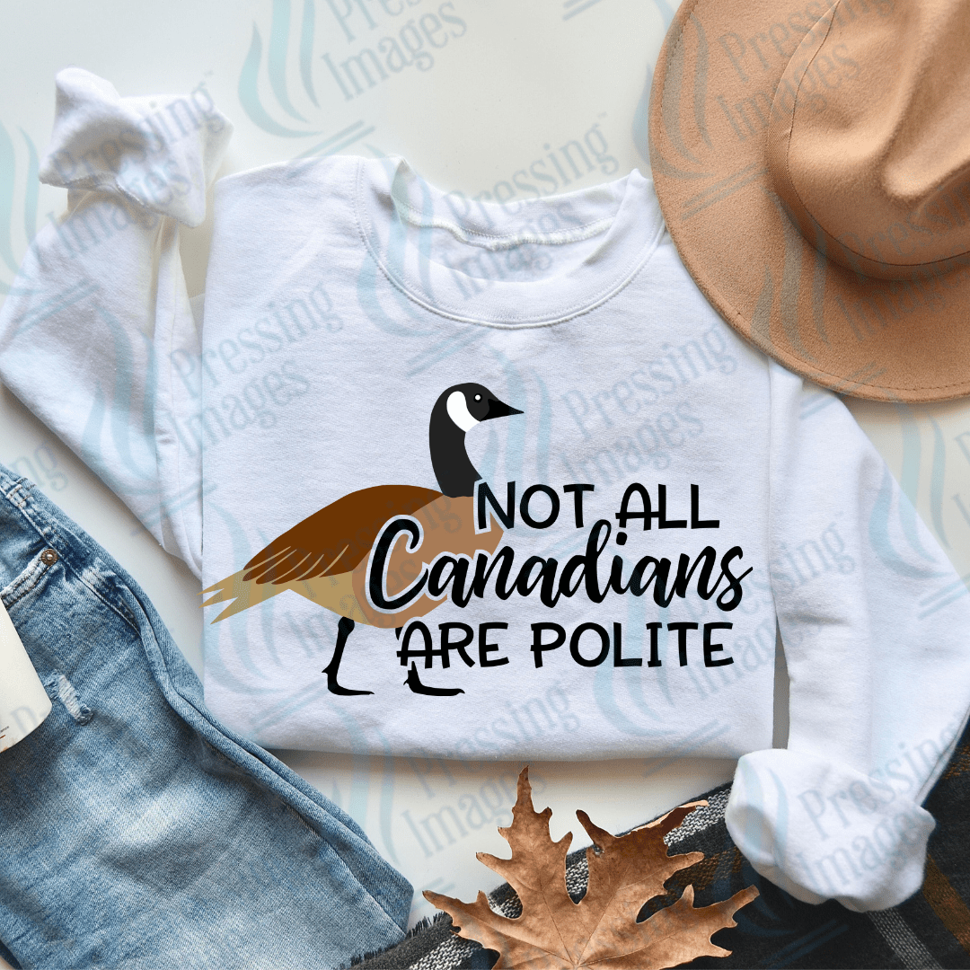 DTF 3669 Not All Canadians Are Nice - Pressing Images