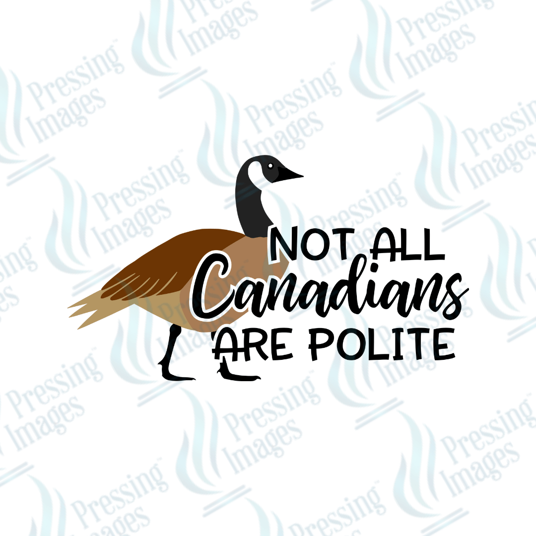 DTF 3669 Not All Canadians Are Nice - Pressing Images