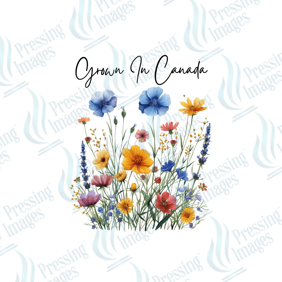 DTF 3671 Grown in Canada Tall WIldflowers - Pressing Images