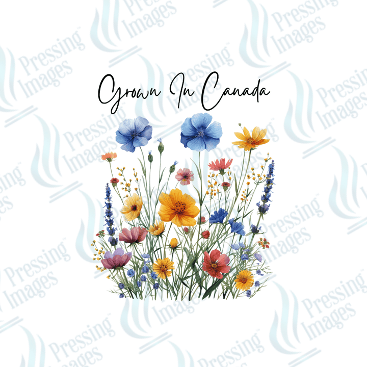 DTF 3671 Grown in Canada Tall WIldflowers - Pressing Images