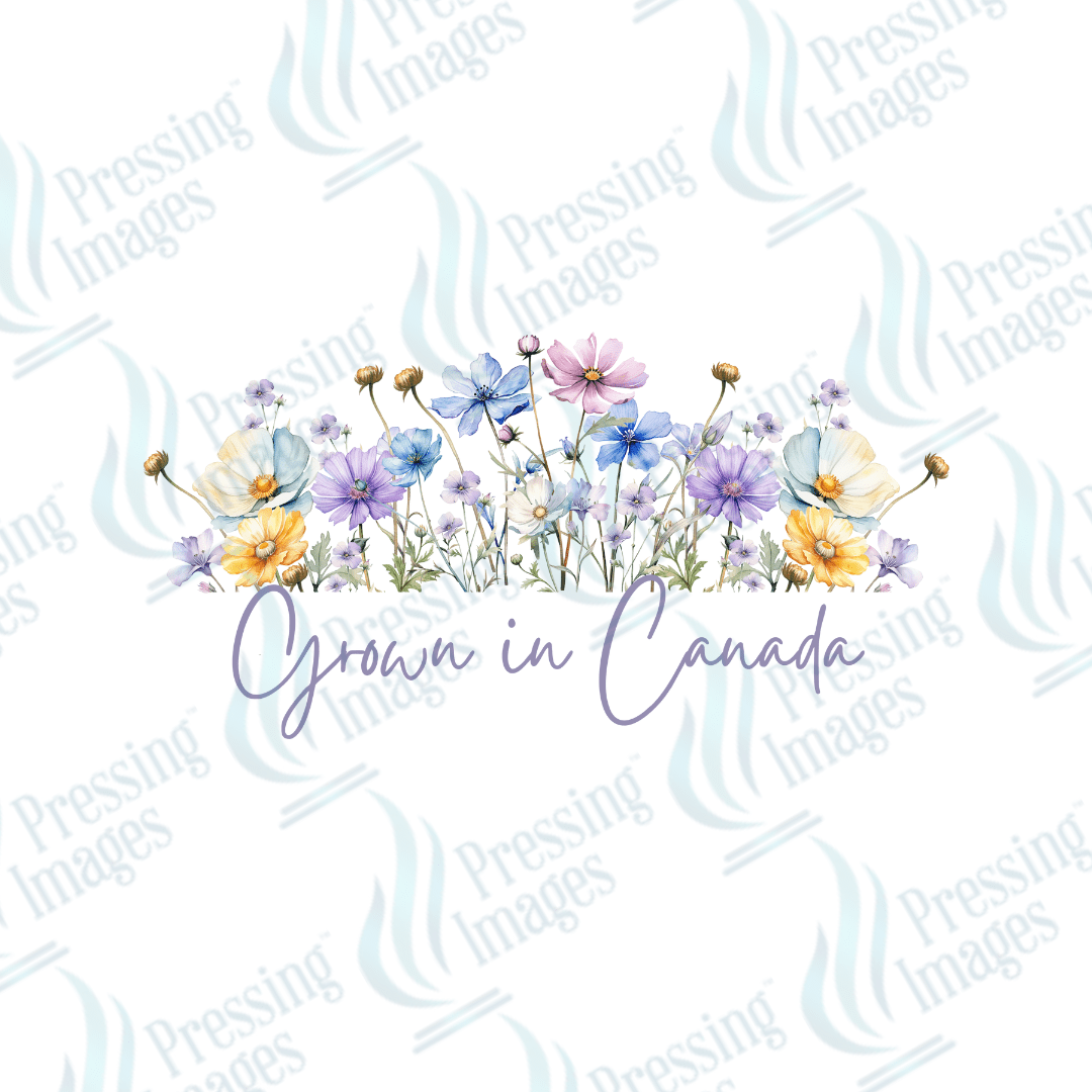 DTF 3672 Grown In Canada bottom text - Pressing Images