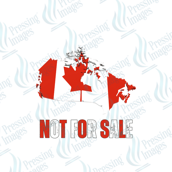 DTF 3673 Not For Sale 3D Map - Pressing Images