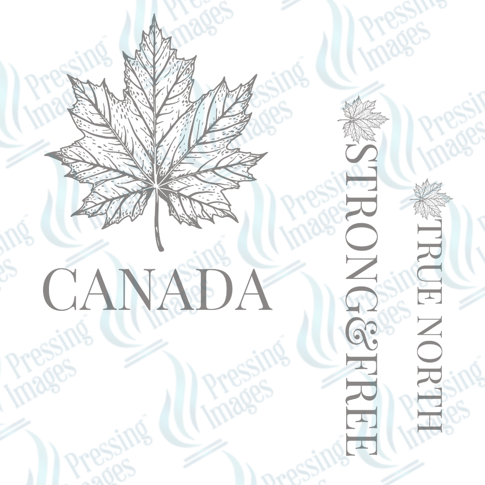 DTF 3677 Canada Soft Gray - Pressing Images