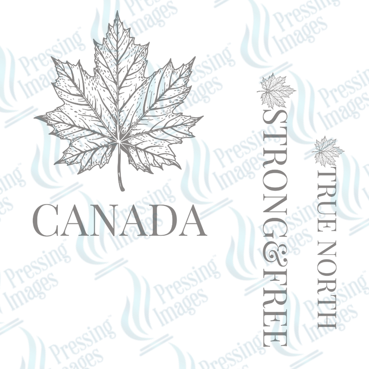 DTF 3677 Canada Soft Gray - Pressing Images