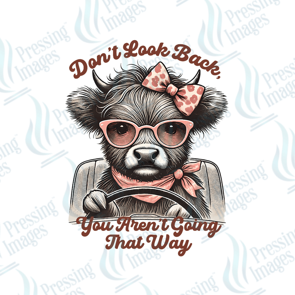 DTF 3690 Don't Look Back - Pressing Images