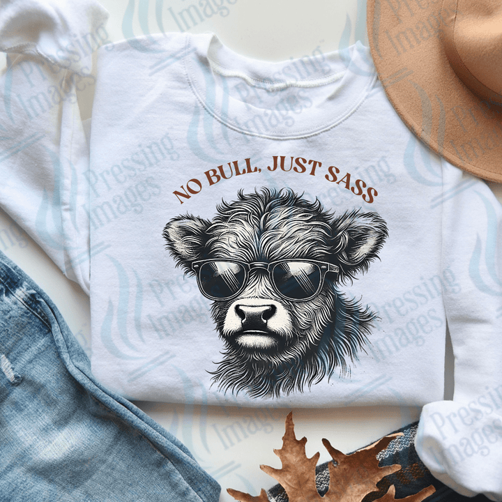 DTF 3702 No Bull Just Sass - Pressing Images