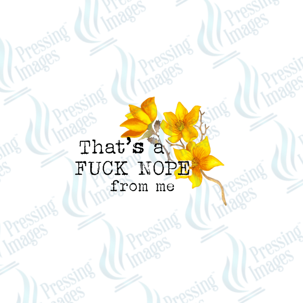DTF 3712 Fuck Nope - Pressing Images