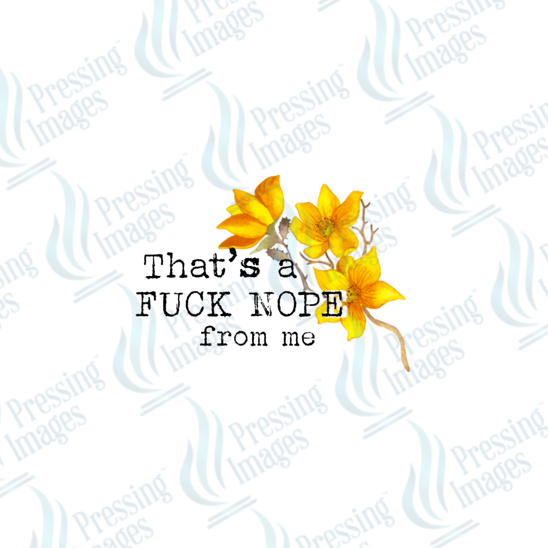 DTF 3712 Fuck Nope - Pressing Images