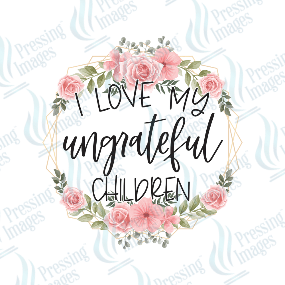 DTF 3714 I Love My Ungrateful Kids - Pressing Images