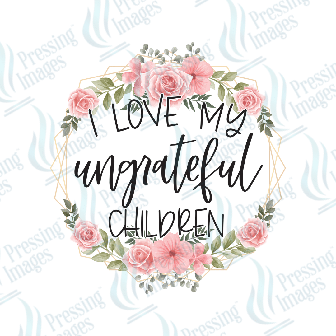 DTF 3714 I Love My Ungrateful Kids - Pressing Images