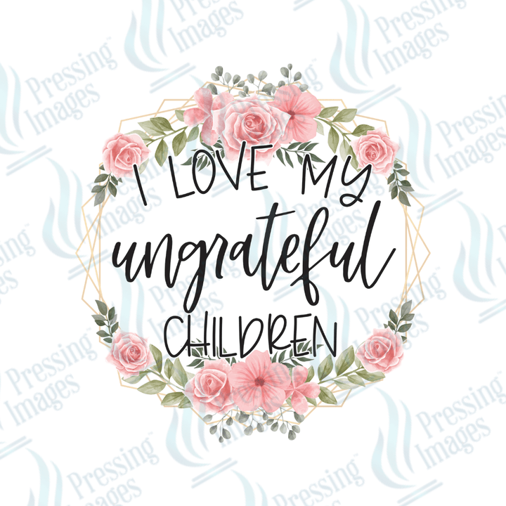 DTF 3714 I Love My Ungrateful Kids - Pressing Images