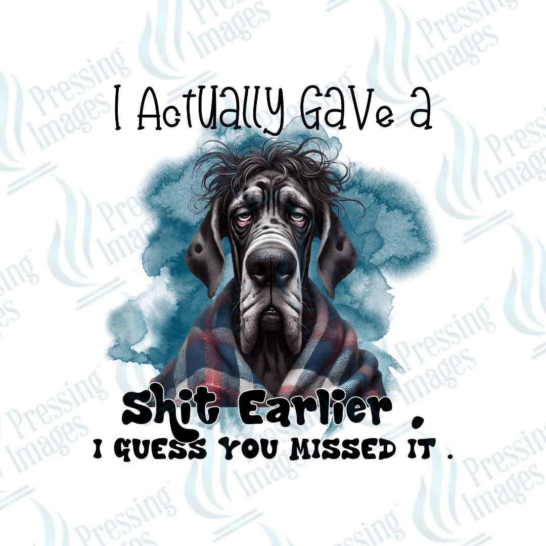 DTF 3716 I Actually Gave A Shit Earlier - Pressing Images