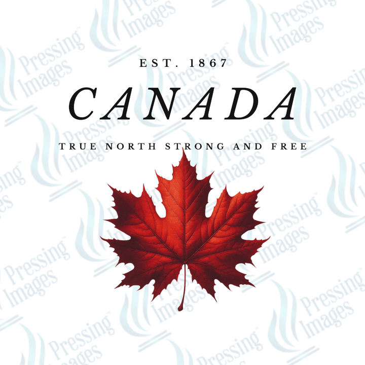 DTF 3736 Canada Est. 1867 - Pressing Images