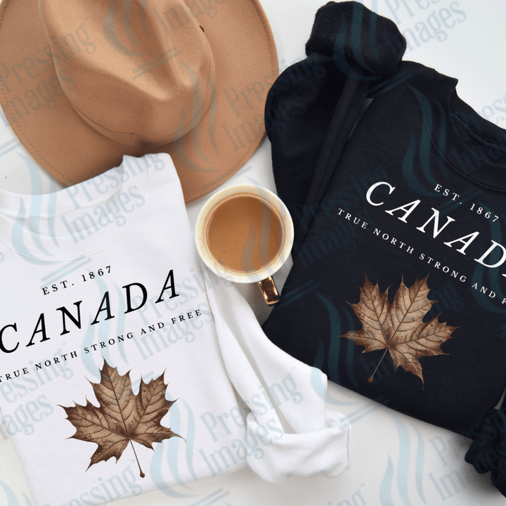 DTF 3736 Canada Est. 1867 - Pressing Images