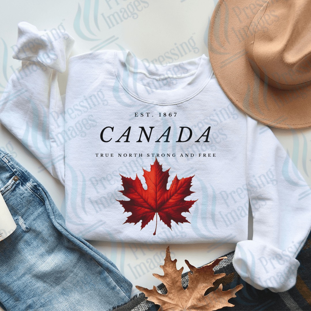 DTF 3736 Canada Est. 1867 - Pressing Images