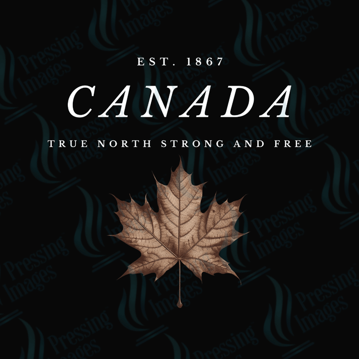 DTF 3736 Canada Est. 1867 - Pressing Images