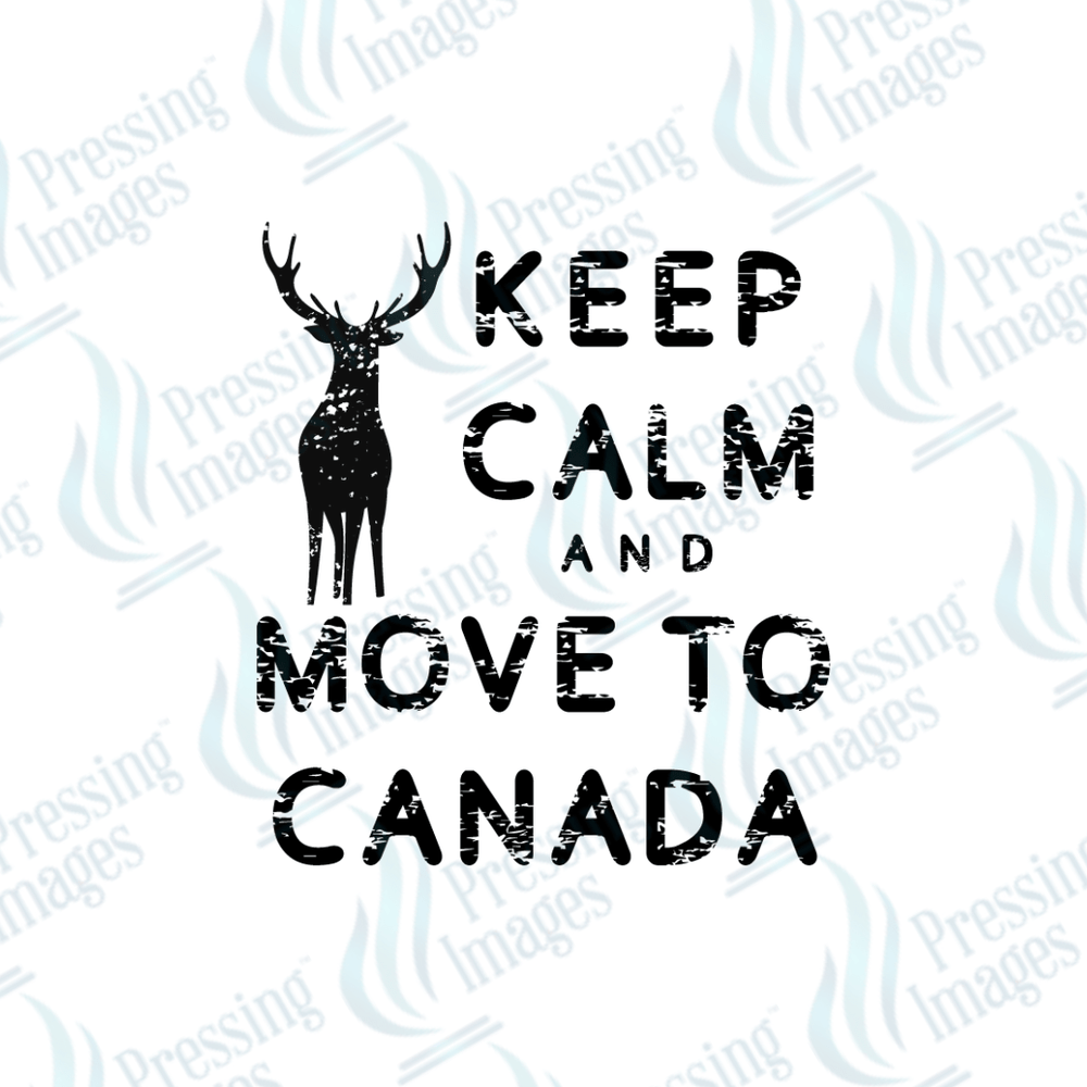 DTF 3750 Move to Canada - Pressing Images