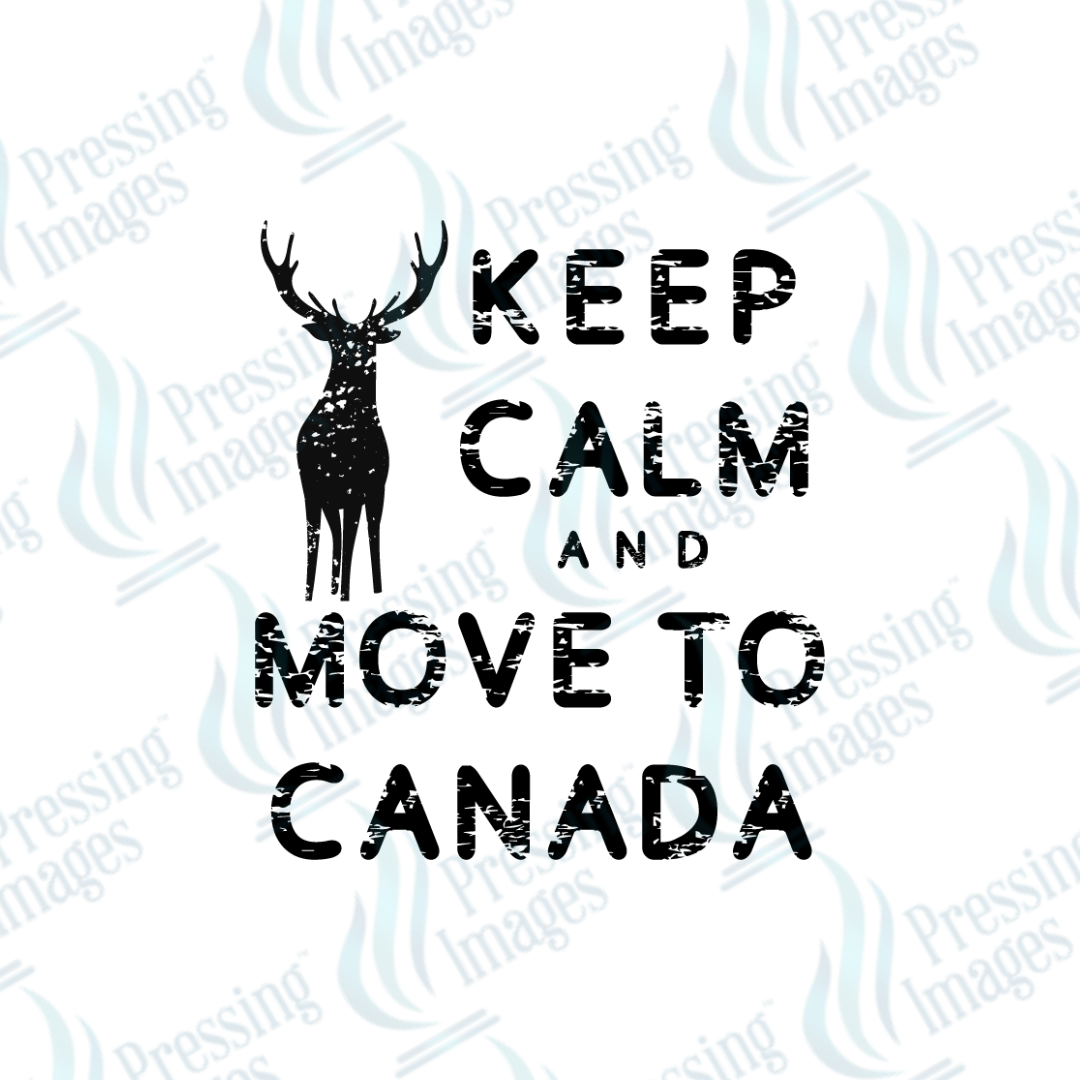 DTF 3750 Move to Canada - Pressing Images