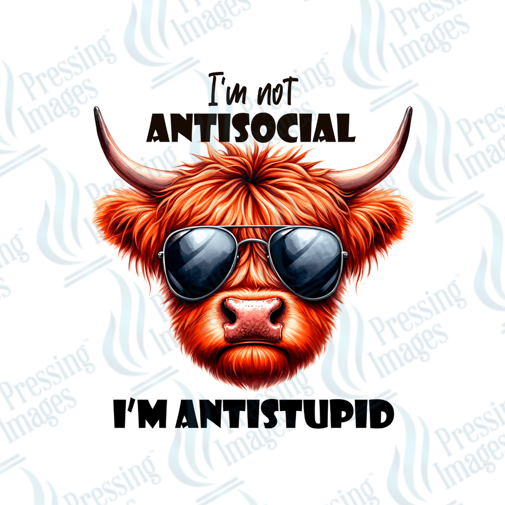 DTF 3756 Antistupid - Pressing Images
