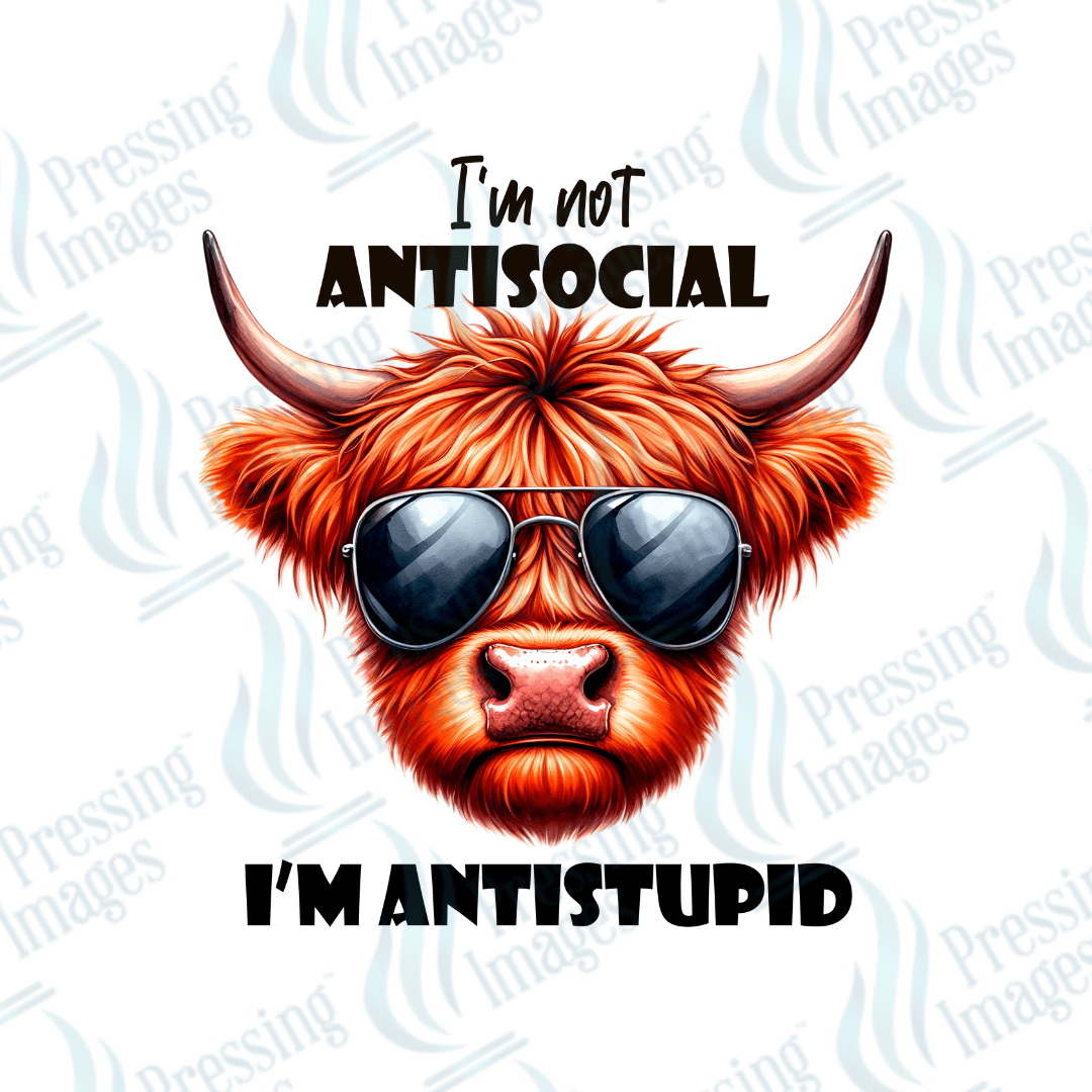 DTF 3756 Antistupid - Pressing Images