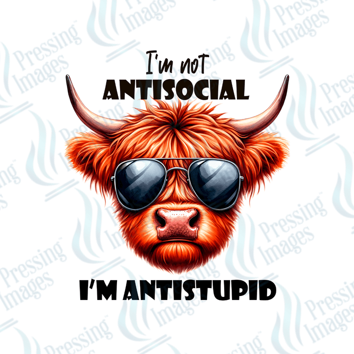 DTF 3756 Antistupid - Pressing Images