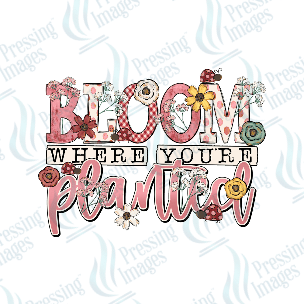DTF 3759 Bloom Where You Are Planted - Pressing Images